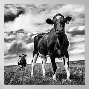 Póster Cosecha de BW que espera