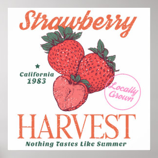 Póster Cosecha de Fresas Vintage California Cocina