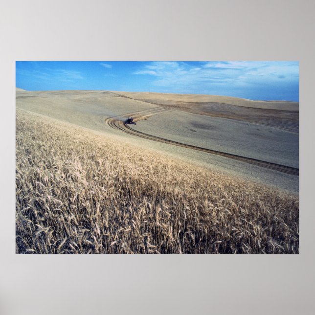 Póster Cosecha de trigo (Frente)