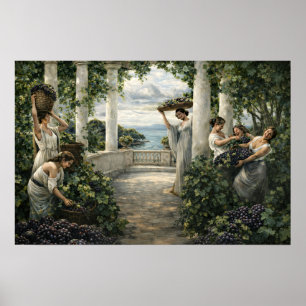 Póster Cosecha de uvas en viñedo mediterráneo