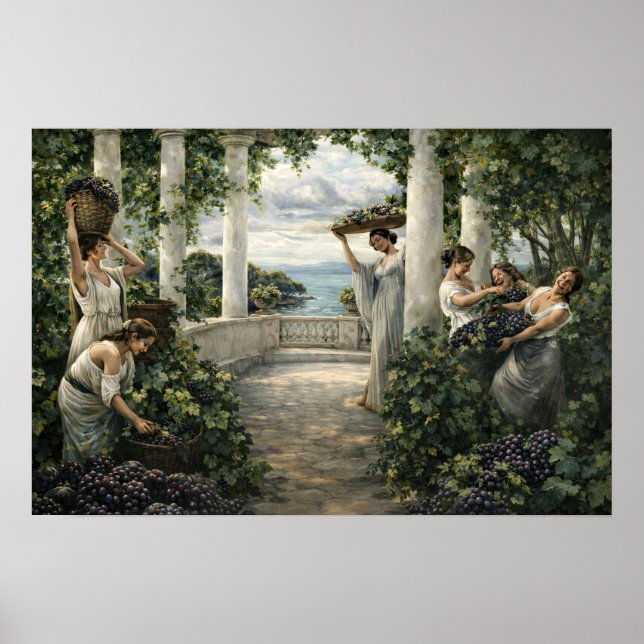 Póster Cosecha de uvas en viñedo mediterráneo (Frente)