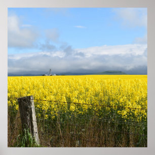 Póster Cosecha dorada