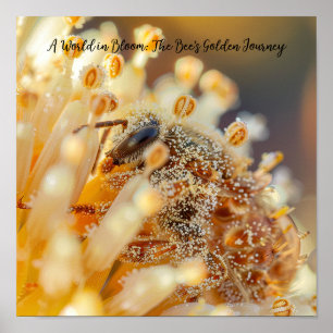 Póster Cosecha dorada: abeja de macro en flor