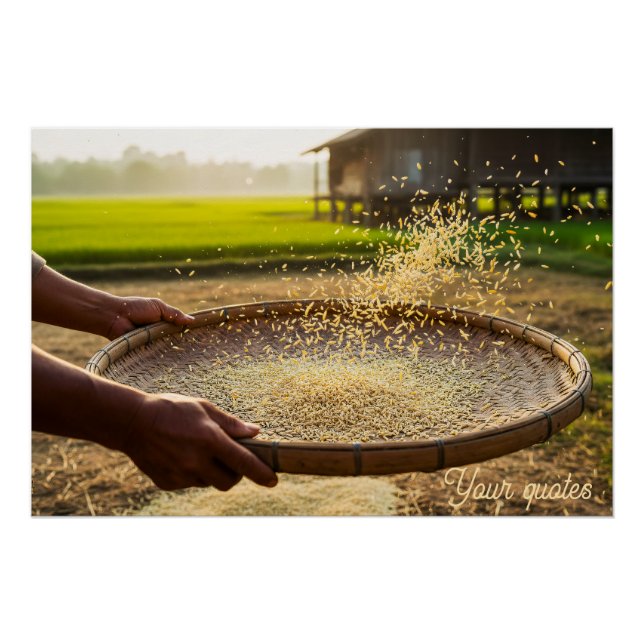 Póster Cosecha Grano, Campo de Arroz (Anverso)