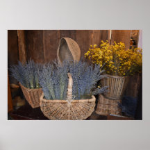 Cosecha Rústica de Lavanda