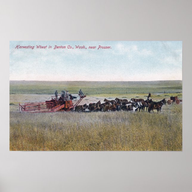 Póster Cosechando la escena del trigo (Frente)