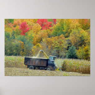 Póster Cosechando Maíz en Vermont