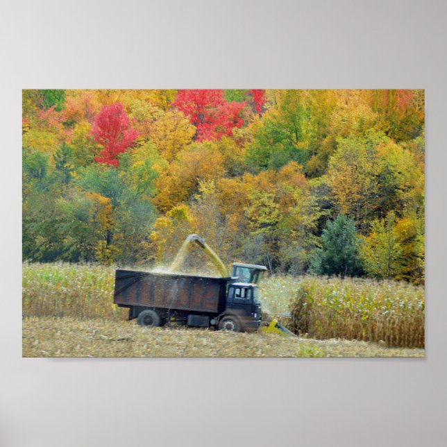 Póster Cosechando maíz en Vermont (Frente)