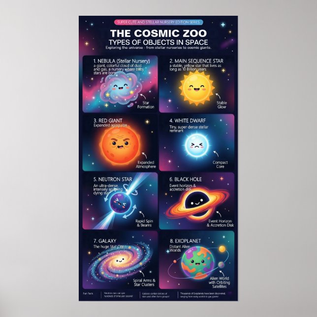 Póster Cosmic Zoo Space Objects Astronomy Infographic (Frente)