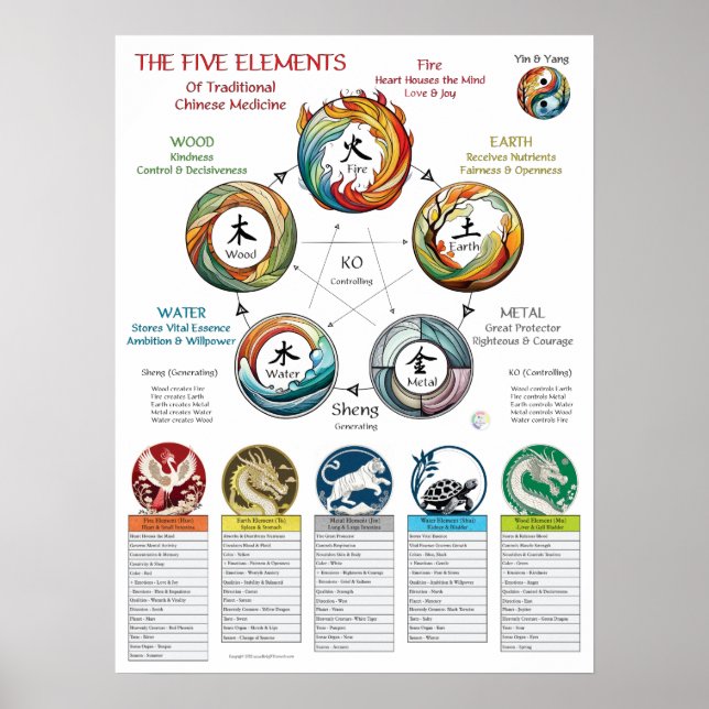 Póster Cosmología de las características de los cinco ele (Frente)