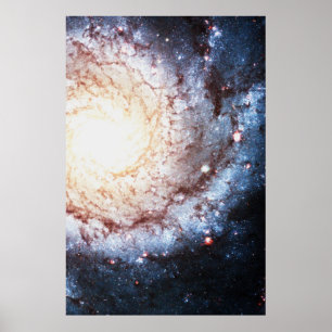 Póster Cosmos coloridos
