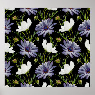 Póster Cosmos Daisy Floral Seamless Collage