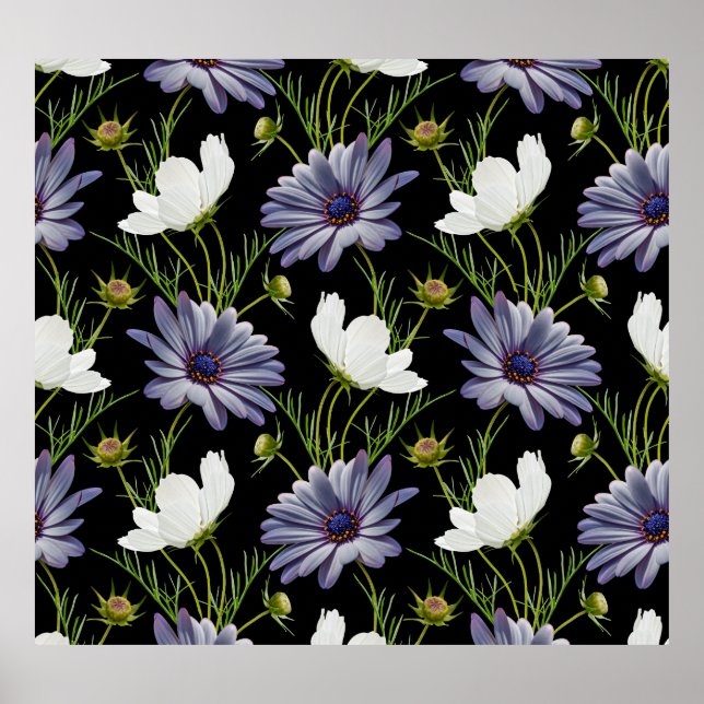 Póster Cosmos Daisy Floral Seamless Collage (Frente)
