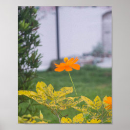 Póster Cosmos de azufre 03