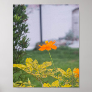 Póster Cosmos de azufre 03