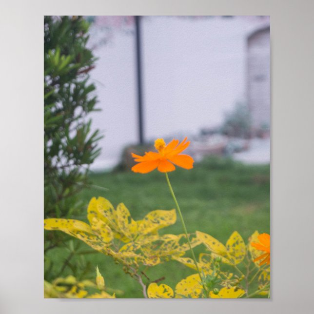 Póster Cosmos de azufre 03 (Frente)