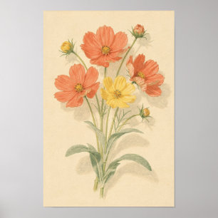 Póster Cosmos Florales Coral y Amarillo Mantequilla