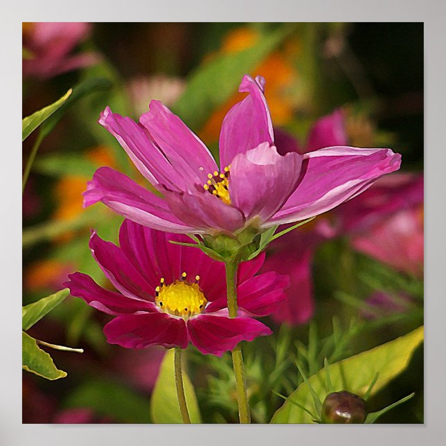 Póster Cosmos Flower Print (Frente)