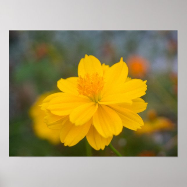 Póster Cosmos Sulfuroso 02 (Frente)