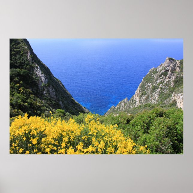 Póster Costa colorida (Frente)