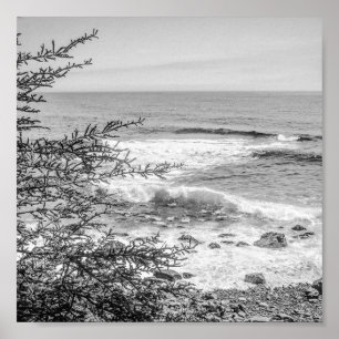 Póster Costa de Acadia Maine Blanco y Negro de Archivo