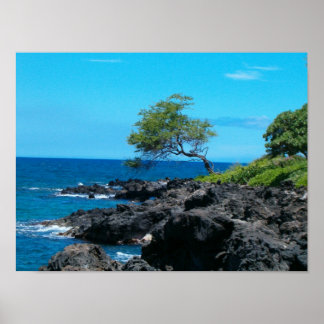 Póster Costa de Hawái