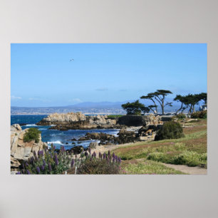 Póster Costa de la Bahía de Monterey, foto de primavera