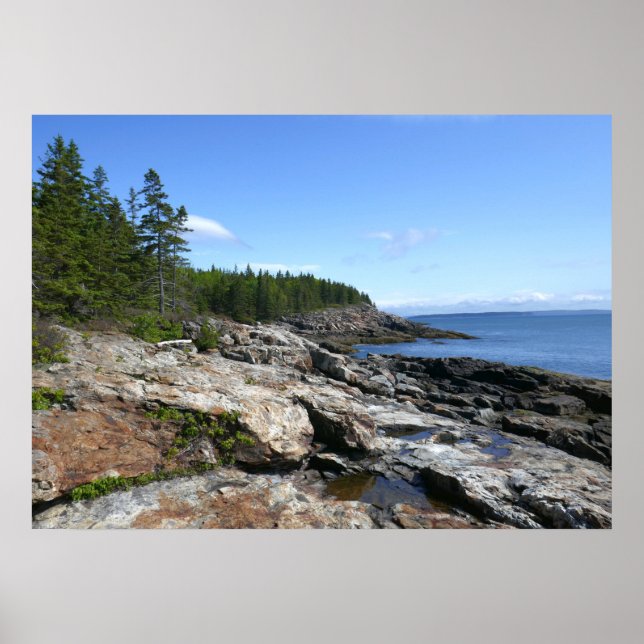 Póster Costa de la isla Bar en el Parque Nacional Acadia (Frente)