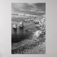Costa de la playa en B&W, California