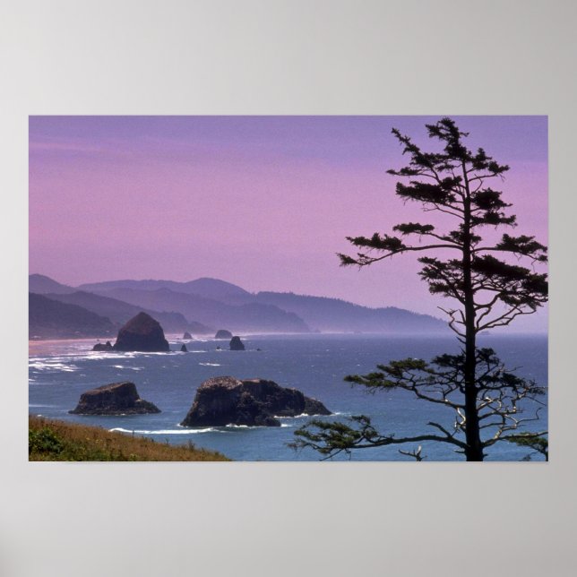 Póster Costa de Oregón, Parque Estatal Ecola, Oregon (Frente)