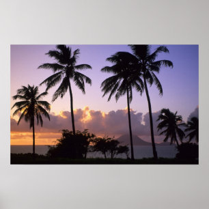 Póster Costa de St. Kitts