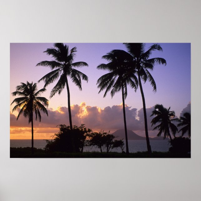 Póster Costa de St. Kitts (Frente)