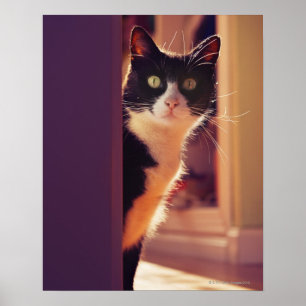 Póster costa del benalamadena, Málaga, Costa del Sol,