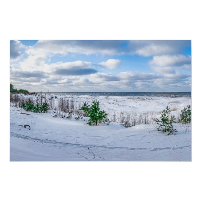 Póster Costa del Mar Báltico cubierta de nieve en inviern (Anverso)