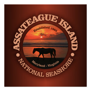 Póster Costa del nacional de la isla de Assateague