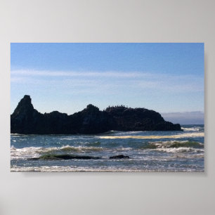 Póster Costa en Seal Rock OR