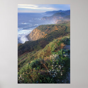 Póster Costa grande Vista de Sur