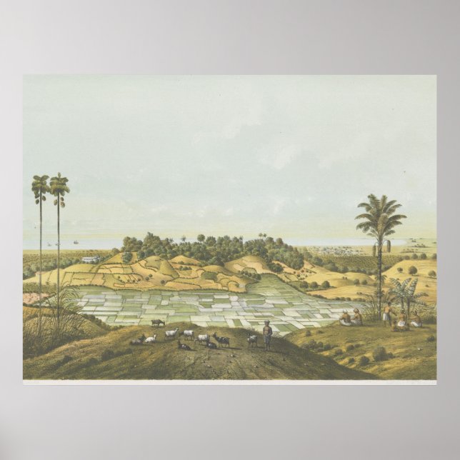 Póster Costa norte cerca del cartel de Semarang (Frente)