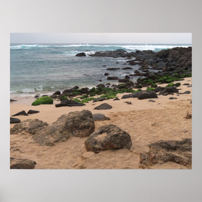 Póster Costa Norte de Oahu y Tortuga Marina  (Frente)