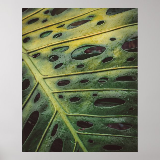 Póster Costa Rica (Frente)