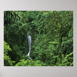 Póster Costa Rica, área del volcán Arenal, puentes colgan