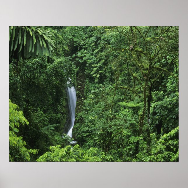 Póster Costa Rica, área del volcán Arenal, puentes colgan (Frente)