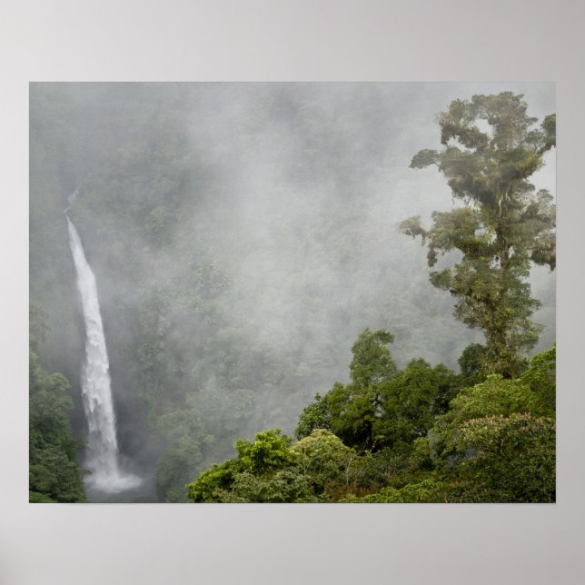 Póster Costa Rica, bosque de nubes en las montañas cerca  (Frente)
