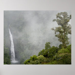 Póster Costa Rica, bosque nuboso en montañas cerca de La