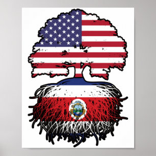 Póster Costa Rica Costa Rica American USA Tree Roots