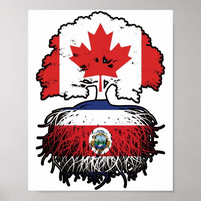 Póster Costa Rica Costa Rica raíces de árboles canadiense (Frente)