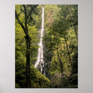 Póster Costa Rica, Isla del Coco, Cascada de Wafer Bay