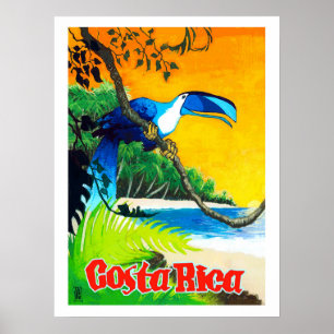 Póster Costa Rica, loro exótico en la playa, vintage