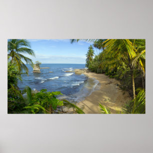 Póster Costa Rica, Manzanillo Wildlife Refuge