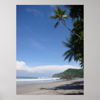 Póster Costa Rica Palm #3